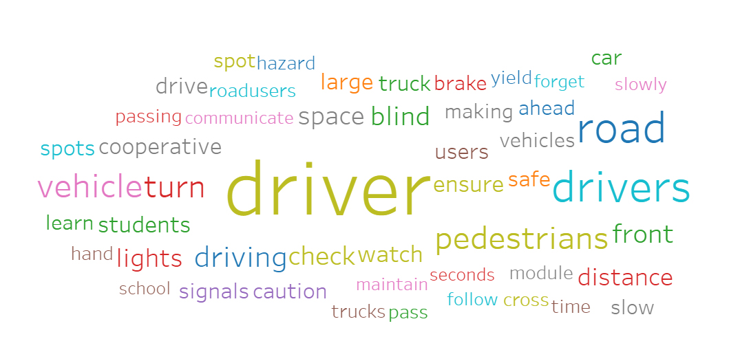 Sharing the Road-Word Cloud