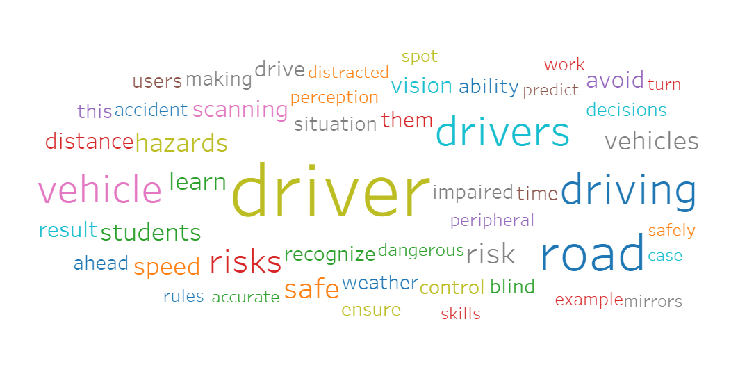 Perception and Risk Management-Word Cloud